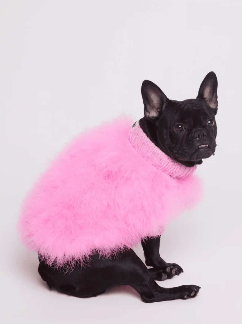 Christian Cowan x Maxbone Pink Faux Fur Icon Dog Sweater